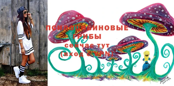 стаф Белоозёрский