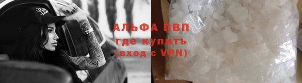 стаф Белоозёрский