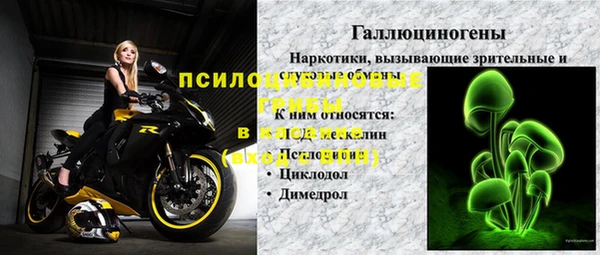 стаф Белоозёрский