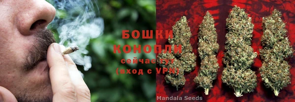 COCAINE Белокуриха